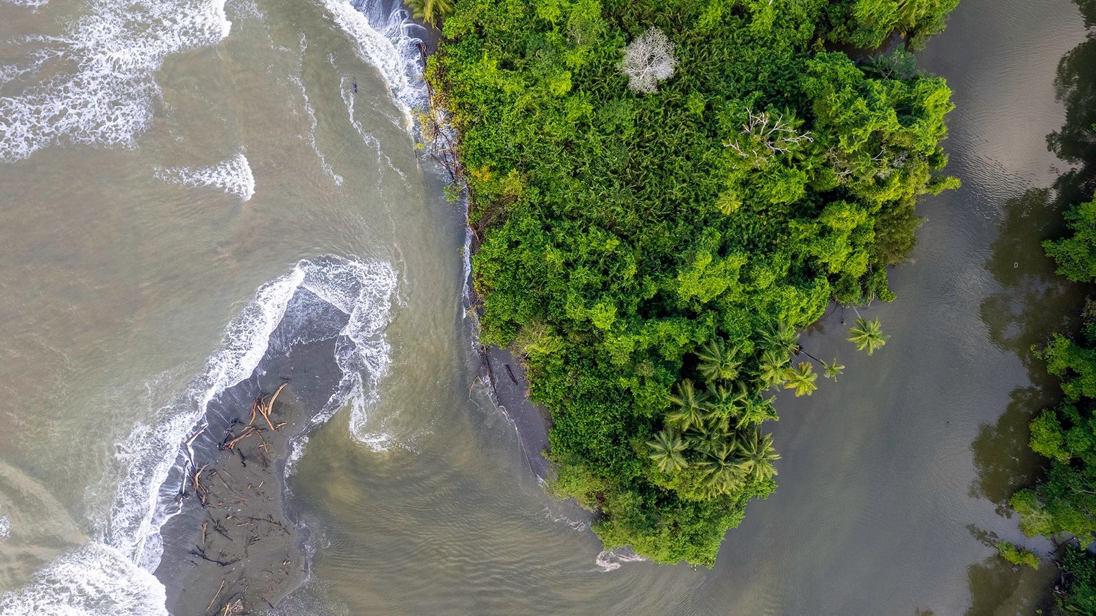 Corcovado