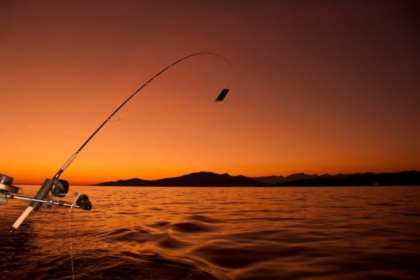 angler, angling, boat-3803884.jpg